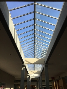 Evergreen House | Bellevue Square Custom Skylights