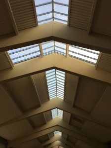 Evergreen House | Bellevue Square Custom Skylights