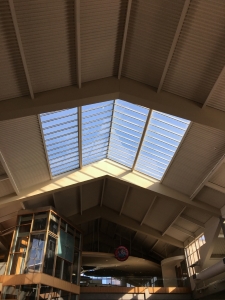 Evergreen House | Bellevue Square Custom Skylights