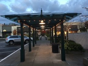 Evergreen House | Custom Glass Canopies